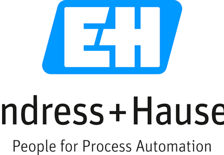 Icono logo endress hauser